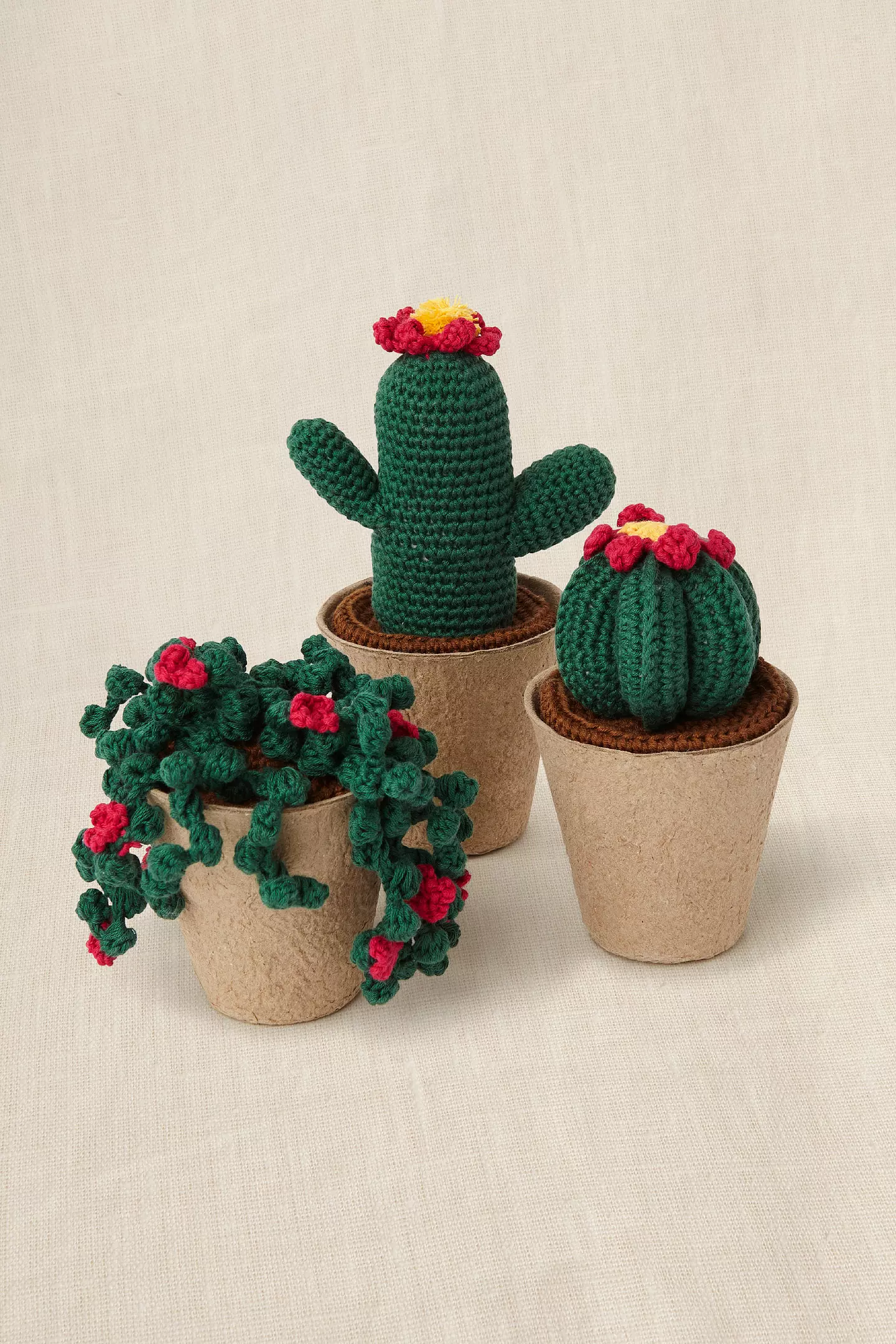 Kit crochet cactus - DMC